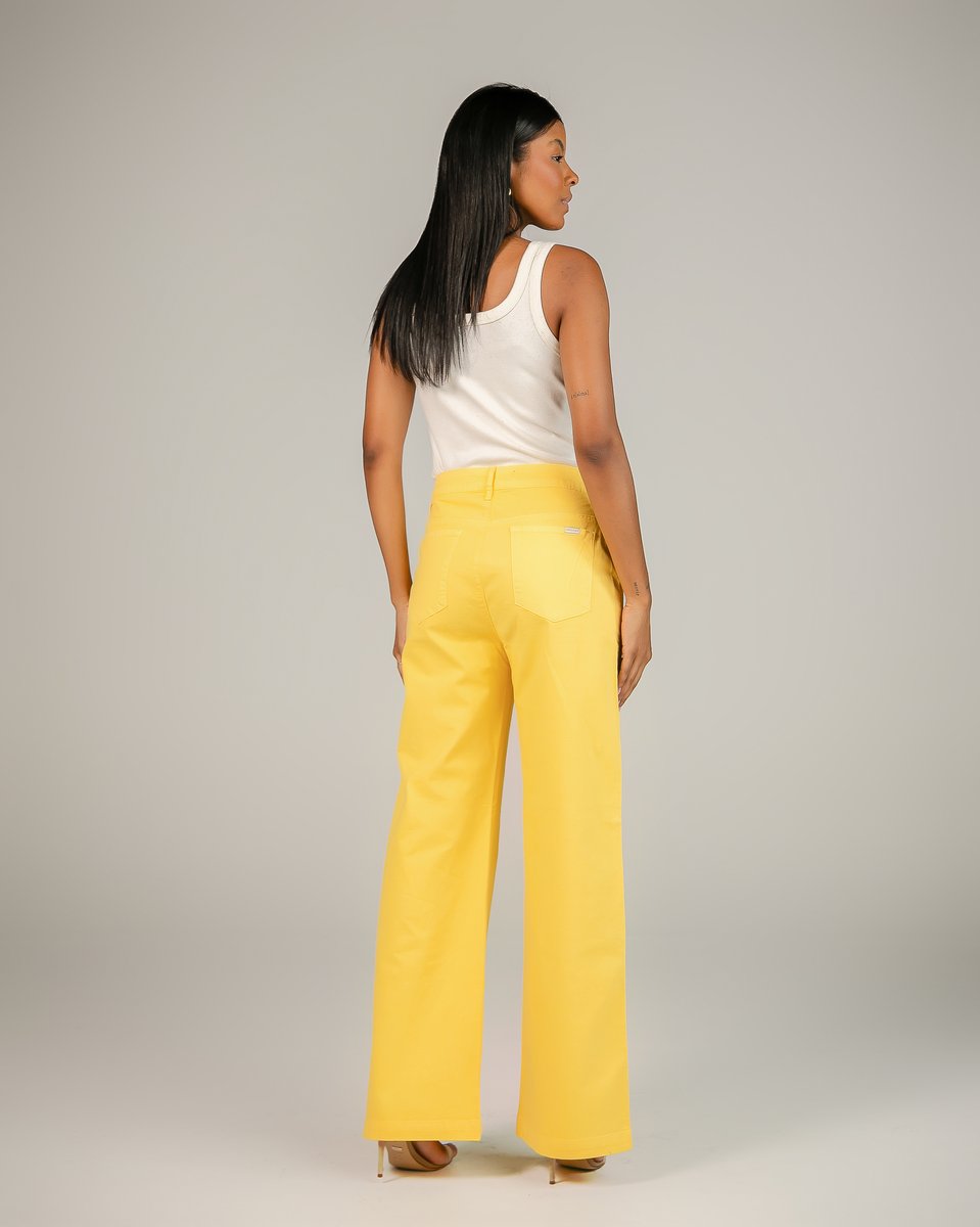 Calça Feminina Pantalona